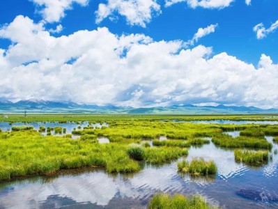 江南体育-功山恋土：热尔简老终始主部节盈沼